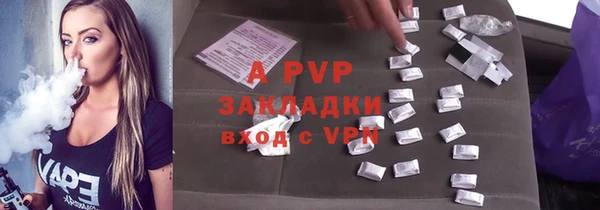 индика Верея