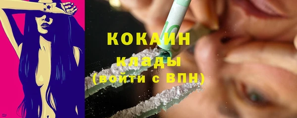 индика Верея