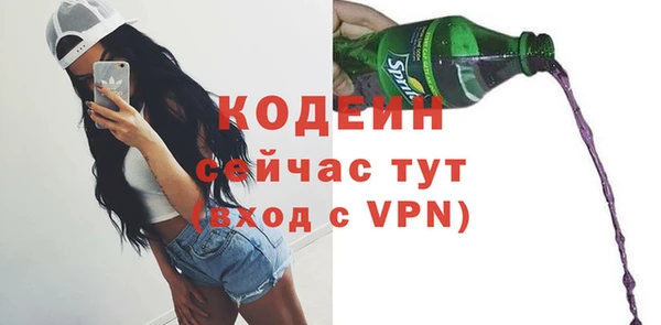 индика Верея