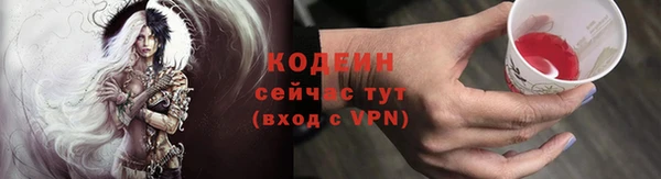 индика Верея