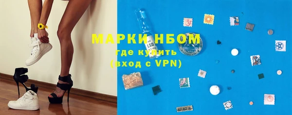 индика Верея