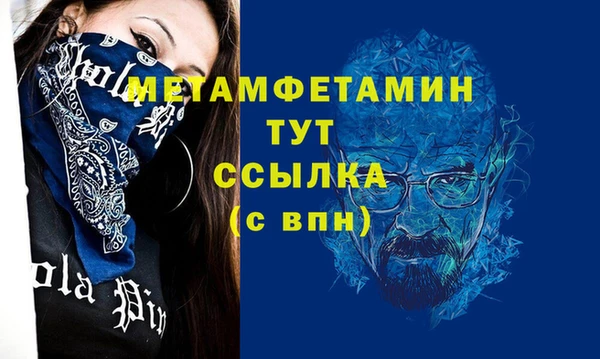 индика Верея