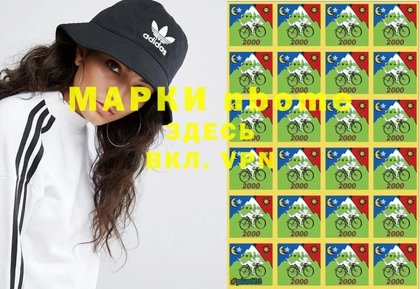 индика Верея