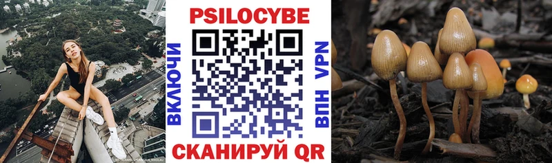 Псилоцибиновые грибы мухоморы  Саранск 
